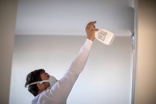 Best Emergency Mold Remediation in Springfield, IL